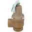 1" 174A Relief Valve w/ Flood Sensor Connectivity (50 psi)