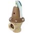 1-1/4" 174A ASME Boiler Pressure Relief Valves w/ Flood Sensor Connectivity (50 psi)