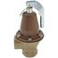 1-1/4" 174A ASME Boiler Pressure Relief Valve w/ Flood Sensor Connectivity (60 psi)