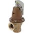 1-1/4" 174A Relief Valve w/ Flood Sensor Connectivity (100 psi)
