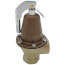 1-1/4" 174A Relief Valve w/ Flood Sensor Connectivity (125 psi)