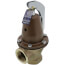 1-1/4" 174A Relief Valve w/ Flood Sensor Connectivity (125 psi)