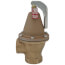 1-1/2" 174A Relief Valve w/ Flood Sensor Connectivity (30 psi)