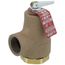 3/4" 374A Relief Valve w/ Flood Sensor Connectivity (30 psi)