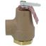 3/4" 374A Relief Valve w/ Flood Sensor Connectivity (30 psi)
