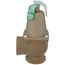 1" x 1-1/4" Boiler Pressure Relief Valve w/ Flood Sensor Connectivity (50 psi)