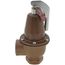 1-1/4" x 1-1/2" Model 740 Boiler Pressure Relief Valve w/ Flood Sensor Connectivity (30 psi)
