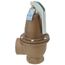 1-1/4" x 1-1/2" Model 740 Boiler Pressure Relief Valve w/ Flood Sensor Connectivity (40 psi)