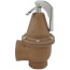 1-1/2" x 2" Model 740 Boiler Pressure Relief Valve w/ Flood Sensor Connectivity (60 psi)