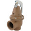1-1/2" x 2" Model 740 Boiler Pressure Relief Valve w/ Flood Sensor Connectivity (60 psi)