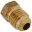 (39-4) 1/4" Brass Flare Plug