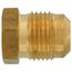 (39-8) 1/2" Brass Flare Plug