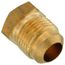 (39-8) 1/2" Brass Flare Plug