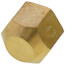 (40-6) 3/8" Brass Flare Cap