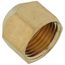 (40-8) 1/2" Brass Flare Cap