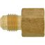 (46-44) 1/4" Flare x 1/4" FIP Brass Coupling Adapter