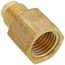 (46-44) 1/4" Flare x 1/4" FIP Brass Coupling Adapter