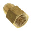 (46-66) 3/8" Flare x 3/8" FIP Brass Coupling Adapter