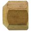 (40-5) 5/16" Brass Flare Cap
