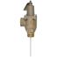 1" LF40XL-4 Lead Free T&P Relief Valve w/ Flood Sensor Connectivity (150 psi)