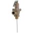 3/4" 40XL-5 Lead Free T&P Relief Valve w/ Flood Sensor Connectivity (125 psi)