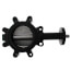 8" 2-Way 316 Stainless Steel Butterfly Valve, Disc, 1135 CV