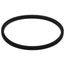 Body Seal Ring For 13A00 Zone Valves
