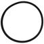 Body Seal Ring For 13A00 Zone Valves