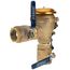 2" 765-QT-FZ Pressure Vacuum Breaker w/ Freeze Sensor