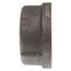 2-1/2" Black Cap, Class 150