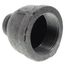 1-1/2" x 1/2" Black Coupling, Class 150