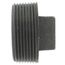 2-1/2" Black Regular Cored Plug