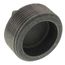2-1/2" Black Regular Cored Plug