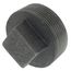 2-1/2" Black Regular Cored Plug