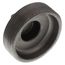 3-1/2" Black Regular Cored Plug, Class 150