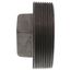 3-1/2" Black Regular Cored Plug, Class 150