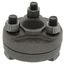 1" Black Cast Iron Steam Flange Union w/ Gasket, Class 125