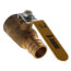 1" Expansion x 1" Female NPT Brass Ball Valve (Lead Free)
