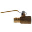 1" Expansion x 1" Female NPT Brass Ball Valve (Lead Free)