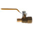 1/2" Expansion 1/2" Female NPT Brass Ball Valve (Lead Free)