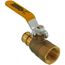 3/4" Expansion 3/4" Female NPT Brass Ball Valve (Lead Free)
