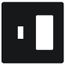 Fassada 2-Gang  1 Traditional/1 Designer Wall Plate (Black)