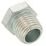 1/4" x 1/8" Galv Hexagon Bushing, Class 150