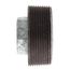 2" x 1/2" Galv Hexagon Bushing, Class 150