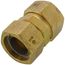 1" AutoFlare Brass Coupling