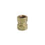 1-1/2" AutoFlare Brass Coupling