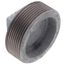 3" Galv Regular Cored Plug, Class 150