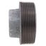 3" Galv Regular Cored Plug, Class 150
