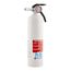 REC5 Rechargeable Recreation Fire Extinguisher UL Rated 5-B:C (White)