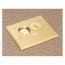 1-Gang Non-Metallic Adjustable Floor Box w/ Metallic Cover & Two Threaded Plugs (Brass)